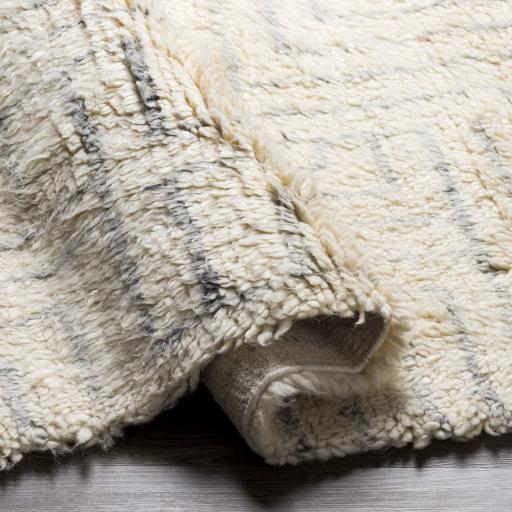 Surya Camille CME-2302 2' x 3' Rug