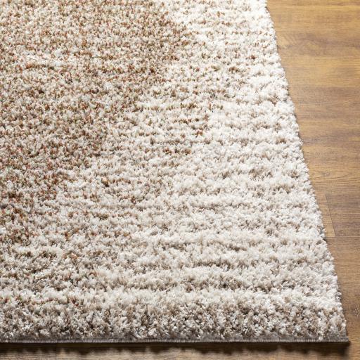 Surya Capella Shag CPS-2301 6'7" x 9' Rug
