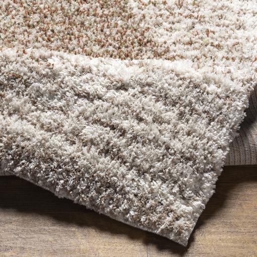 Surya Capella Shag CPS-2301 6'7" x 9' Rug