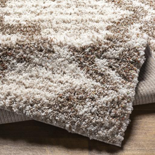 Surya Capella Shag CPS-2305 6'7" x 9' Rug