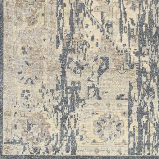 Surya Cappadocia CPP-5035 Charcoal Light Beige 8' x 11' Rug