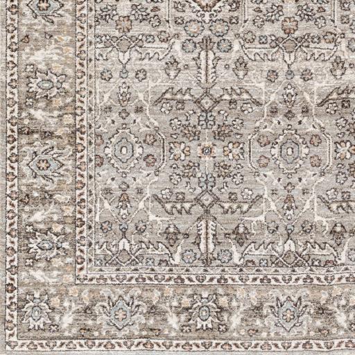 Surya Carlisle CSI-2301 7'10" Round Rug