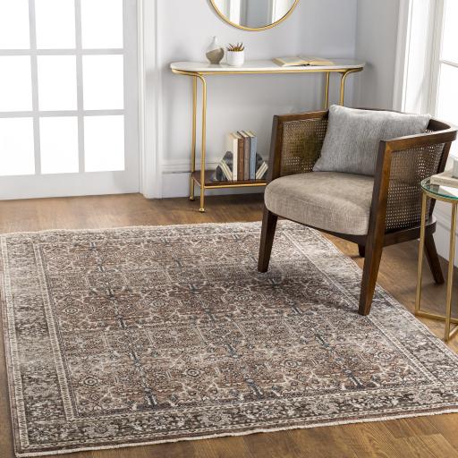 Surya Carlisle CSI-2302 Brown Cream 2'11" x 7'3" Rug