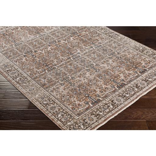 Surya Carlisle CSI-2302 Brown Cream 2'11" x 7'3" Rug