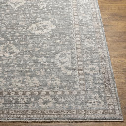 Surya Carlisle CSI-2309 Ivory Light Gray 2' x 2'11" Rug