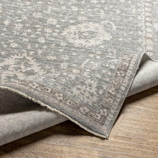 Surya Carlisle CSI-2309 2' x 2'11" Rug