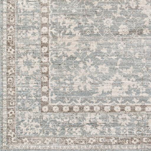 Surya Carlisle CSI-2309 2' x 2'11" Rug