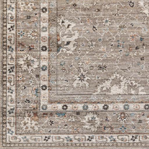 Surya Carlisle CSI-2312 2' x 2'11" Rug