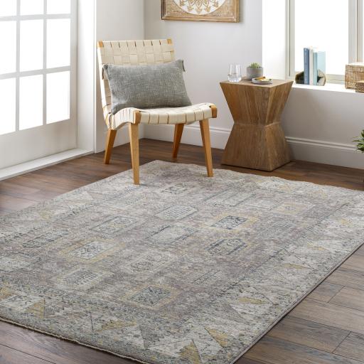 Surya Carlisle CSI-2318 2' x 2'11" Rug