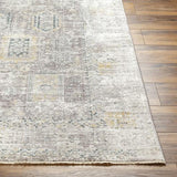 Surya Carlisle CSI-2318 2' x 2'11" Rug