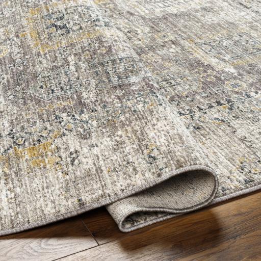 Surya Carlisle CSI-2318 2' x 2'11" Rug