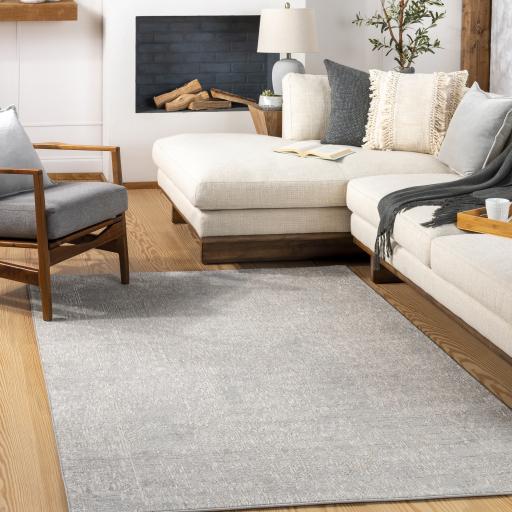 Surya Carmel CRL-2300 2'7" x 3'11" Rug