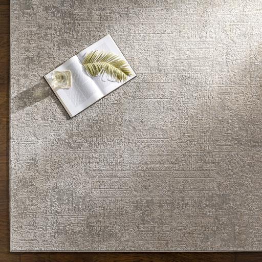 Surya Carmel CRL-2300 6'7" x 9'6" Rug