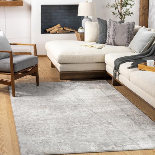 Surya Carmel CRL-2301 10' x 13'11" Rug