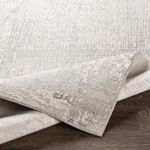 Surya Carmel CRL-2301 2'7" x 3'11" Rug