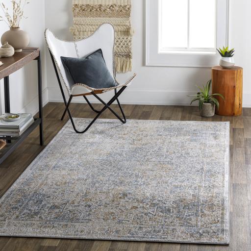 Surya Carmel CRL-2312 Blue Brown 2'7" x 3'11" Rug