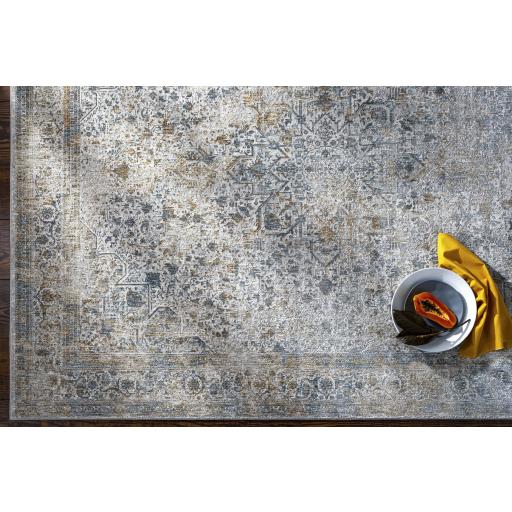 Surya Carmel CRL-2312 Blue Brown 2'7" x 3'11" Rug