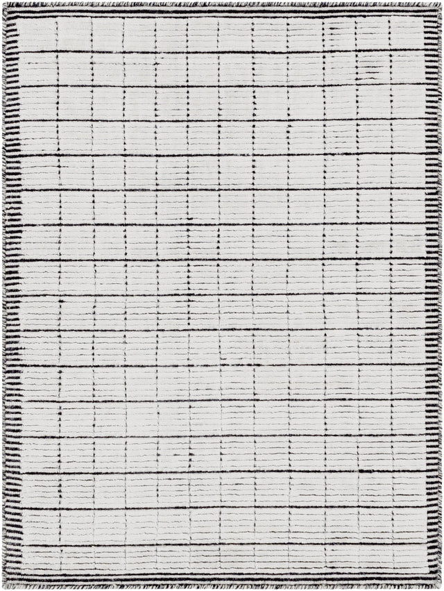 Surya Carre CCR-2301 2' x 3' Rug