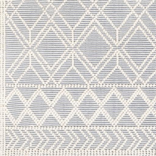 Surya Casa DeCampo CDC-2300 Denim Ivory 2'3" x 3'9" Rug