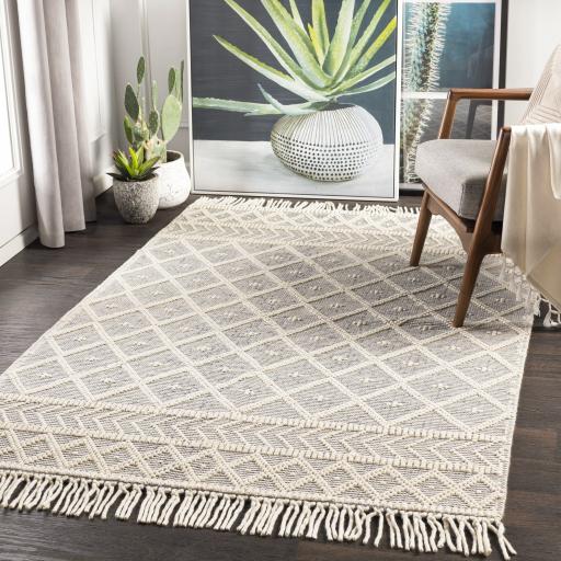 Surya Casa DeCampo CDC-2304 8' x 10' Rug