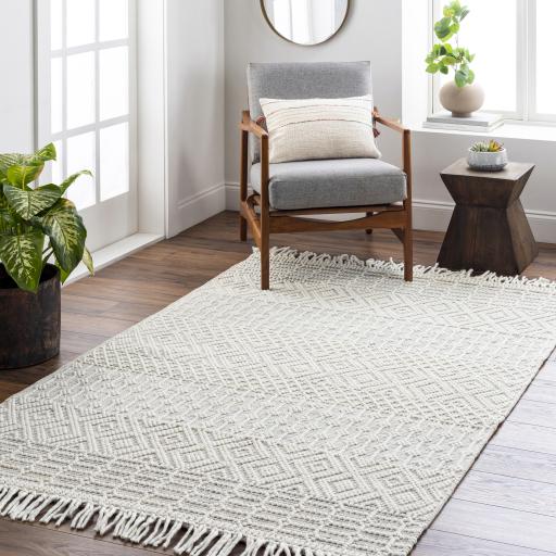 Surya Casa DeCampo CDC-2306 27" x 45" Rug