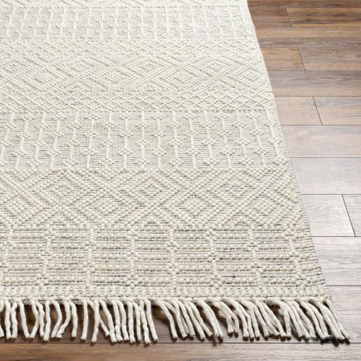 Surya Casa DeCampo CDC-2306 Black Light Beige 27" x 45" Rug