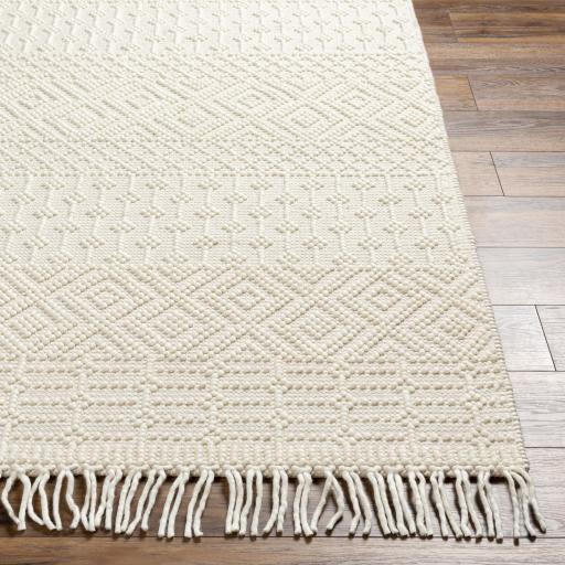 Surya Casa DeCampo CDC-2307 Ivory 2'3" x 3'9" Rug