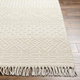 Surya Casa DeCampo CDC-2307 Ivory 2'3" x 3'9" Rug