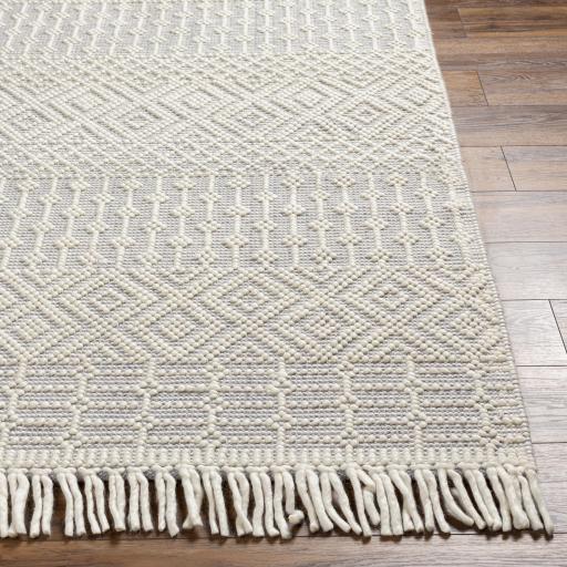 Surya Casa DeCampo CDC-2309 2'3" x 3'9" Rug