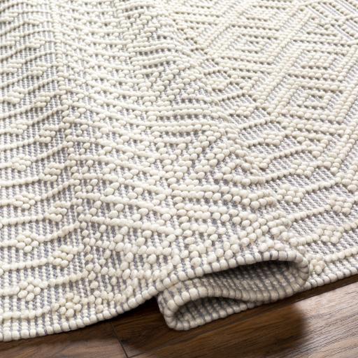 Surya Casa DeCampo CDC-2309 2'3" x 3'9" Rug