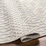 Surya Casa DeCampo CDC-2309 2'3" x 3'9" Rug