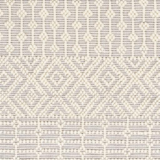 Surya Casa DeCampo CDC-2309 2'3" x 3'9" Rug