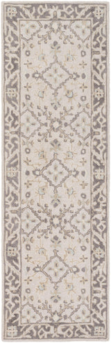 Surya Castille CTL-2000 2' x 3' Rug