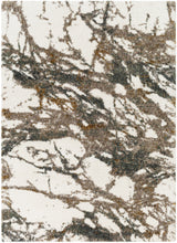 Surya Celestial Shag CSG-2303 2' x 2'11" Rug