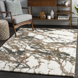 Surya Celestial Shag CSG-2303 2' x 2'11" Rug