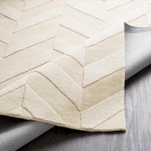 Surya Central Park AWHP-4028 5' x 7'6" Rug