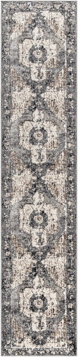 Surya Chelsea CSA-2304 7'10" x 10'2" Rug