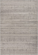 Surya Chester CHE-2304 7'10" x 10'2" Rug