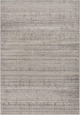 Surya Chester CHE-2304 7'10" x 10'3" Rug