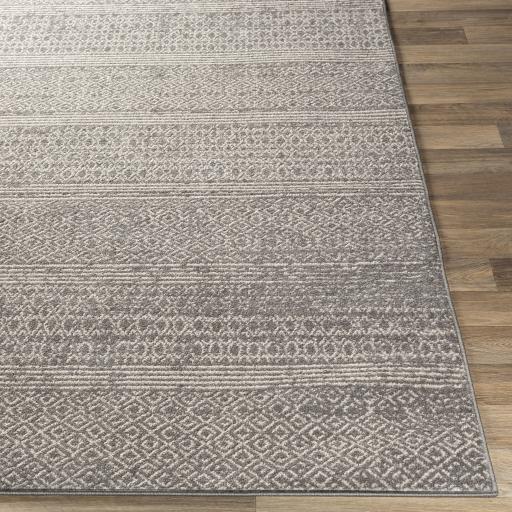 Surya Chester CHE-2304 Charcoal Light Beige 7'10" x 10'2" Rug