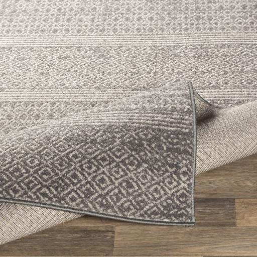 Surya Chester CHE-2304 7'10" x 10'2" Rug