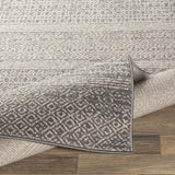Surya Chester CHE-2304 7'10" x 10'2" Rug