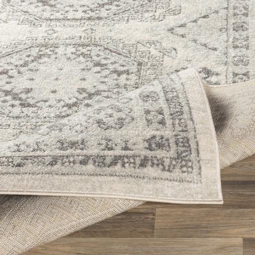 Surya Chester CHE-2309 5'3" Round Rug