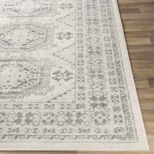 Surya Chester CHE-2309 Charcoal Light Beige 8'10" x 12' Rug