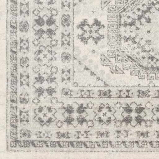 Surya Chester CHE-2309 8'10" x 12' Rug