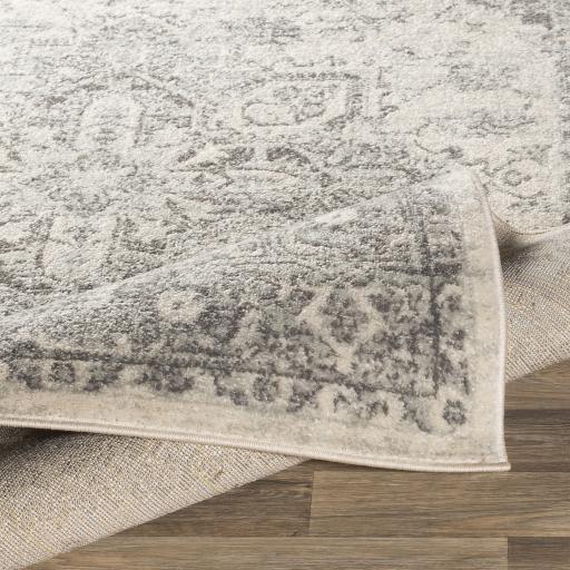 Surya Chester CHE-2312 5'3" Round Rug