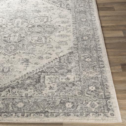 Surya Chester CHE-2312 7'10" x 10'2" Rug