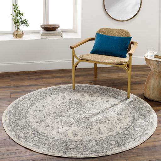 Surya Chester CHE-2312 8'10" x 12' Rug