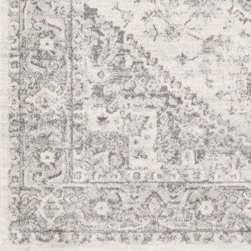Surya Chester CHE-2312 8'10" x 12' Rug
