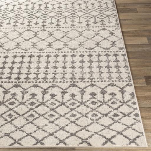 Surya Chester CHE-2319 Charcoal Light Beige 6'7" x 9' Rug